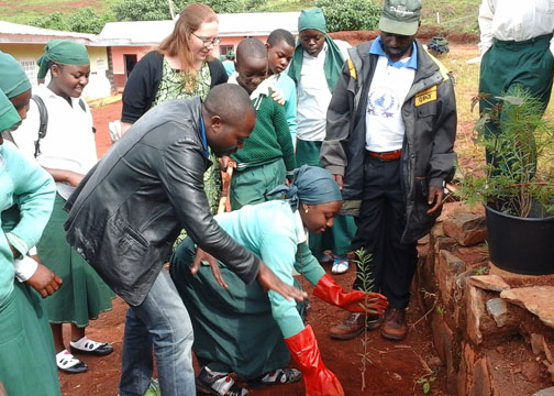 ENVIRONMENT PROGRAM AND ACHIEVEMENTS